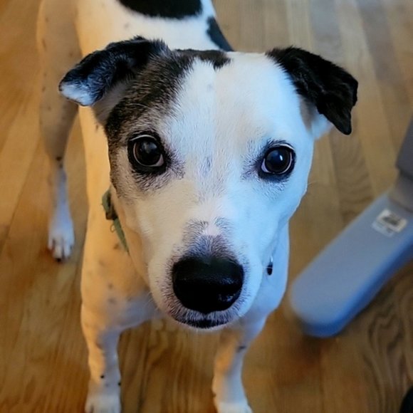 Welcome to VetFund closet - Picture 1 of 4